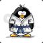 kArAtE pEngUIn