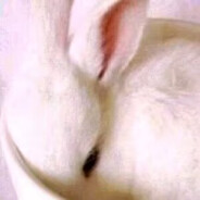 我很菜别出兵骚扰我