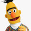 Bert