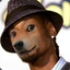 Snoop Doge