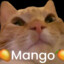 StynTheMango