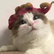 范闲到底死了没吖