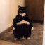 Fat Cat