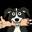 Mr. Pickles