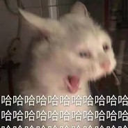 来瓶可燃乌龙茶