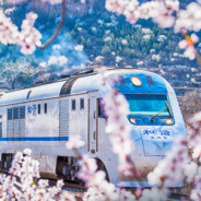 为啥这里没有火锅鸡