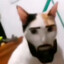 primatagames