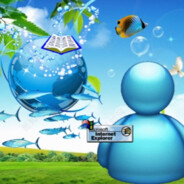 InternetExplorer2008