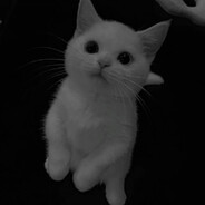 kent1k____ - steam id 76561199140518352