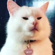 Big Avatar
