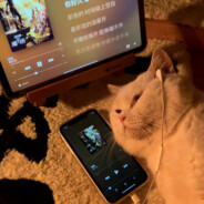 我只是一名电机修理工