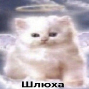 main avatar