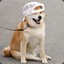 dogewithhat