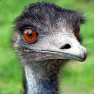 Shinare - steam id 76561197971063245