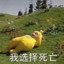 咕唧咕叽