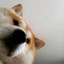 lyyq