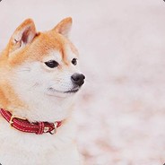 <color=#FF0000>xiaoqiqi