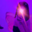 RspwnYrslf?