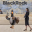 Feathers McGraw's avatar