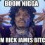 I&#039;m Rick James Bitch