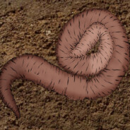 ANAL WORM