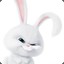 Noyan