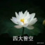 安禄山进长安——唐完了