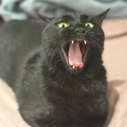 艾許的縫不如紅姐的洞