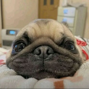 василий пампушка