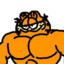 GARFIELD