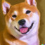 Shiba