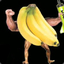 Bananarumpus