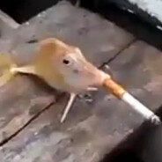 unfunny's avatar