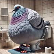 ConstipatedPigeon62