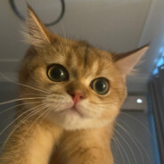 我不喝酒好多年