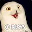 1Test