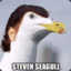 StevenSeagull