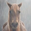 approximately 92 sobbing horses