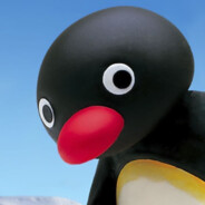 PINGU O PENGUIM !!!