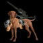 Gun Dog