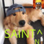 ^sAINT