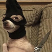 JohnBloodborne avatar