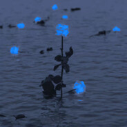 Toz haline geldiğinde