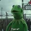 Existential Kermit