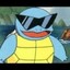 Marginal Squirtle