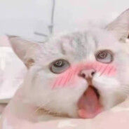 翻斗花园第一突破手