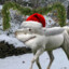 Shorse