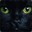 smellycat