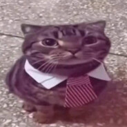 tom1xxz's avatar