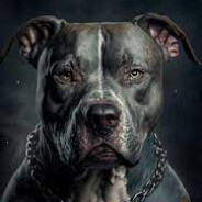 PITBULL Steam avatar